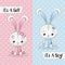 It`s a Girl! It`s a Boy! Greeting card with child cute Pink and Blue rabbit. Vector isolated illustration for children