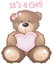 It\'s a Girl! Teddy Bear sign