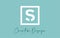 S Letter Icon Design With Creative Modern Look and Teal Background