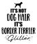 It`s not dog hair, it`s Border Terrier glitter