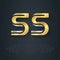 S and S - initials or gold and silver logo. SS - Metallic 3d icon or logotype template. Vector design element with elegant lineart