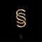 S and S letters. Double S monogram consist of intertwined lines.