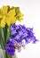 It`s spring!Violets, daisies, daffodils, hyacinths ... scents of spring!