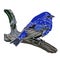 It\\\'s a very beautiful indigo bunting picture.