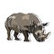 It\\\'s a very beautiful rhinoceros picture.