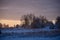 It`s wintertime, trees covered with snow.