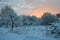 It`s wintertime, trees in the garden covered with snow.