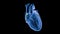 SA Node Signals or Pacemaker of the Heart in Slow motion