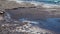 Sa Rapita, Mallorca Spain. Landscape at the Es Rapita beach covered with algae in summer time