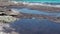 Sa Rapita, Mallorca Spain. Landscape at the Es Rapita beach covered with algae in summer time