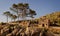 Sa Trapa monastery, Sant Elm, stone, brick, ruins, garden, farm, trees, clear blue sky, Mallorca, Spain