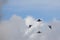 Saab JAS 39 Gripen, multirole fighter, formation flying.