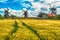 Saarema Island, Estonia: fields and Angla windmills in Leisi Parish