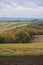 In Saarland forests, meadows and solitary trees in autumn look