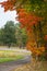 In Saarland forests, meadows and solitary trees in autumn look