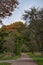 In Saarland forests, meadows and solitary trees in autumn look