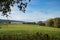 In Saarland forests, meadows and solitary trees in autumn look