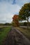 In Saarland forests, meadows and solitary trees in autumn look