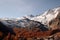 Saas fee forest autumn