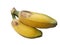 Saba banana fruit isolated