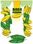 Saba banana leaves tropical fuit