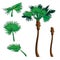 Sabal Palm tree kit