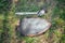 A saber, sword, a steel glove and a shield of a Mongolian soldier lie on the ground in a tall green grass.