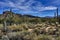 Sabino Canyon Desert