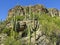 Sabino Canyon Tucson Arizona