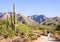 Sabino Canyon Walk