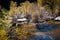 Sabino creek running through the rocks and trees