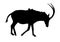 Sable Antelope Silhouette