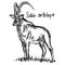 Sable antelope - vector illustration sketch hand drawn with black lines, isolated on white background