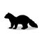 Sable marten mink mammal black silhouette animal