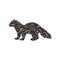 Sable marten mink mammal color silhouette animal