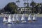 Sabot Sailboats  sailing in Mission Bay