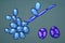 Saccharomyces cerevisiae yeast, illustration