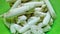 Saccharum edule, also known as terubuk, duruka, Fiji asparagus, dule, pitpit, & naviso. Cultivated in tropical climates