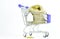 Sack with euro coins in a small shopping cart - economic, savings concept