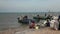Sack Fishermen Sorting The Catch Boat Net Sea Marine Reptiles Gulf Of Siam Thailand Longboat Unloading The Working