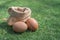 Sack fresh egg on a green grass.