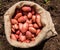 A sack of freshly picked potatoes