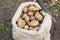 A sack of freshly picked potatoes