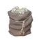 Sack jute with dollars on white bg