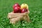 Sackcloth bag with farmer apples outdoors