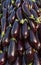 Sacks with Legumes Beans Market