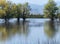 Sacramento National Wildlife Refuge scenery