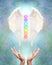 Sacred Angel Chakra Healing