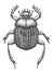 Sacred beetle of scarabs tattoo art. Dot work tattoo. Insect. Symbol of eternal life, resurrection, revival