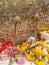 Sacred budding lotus and colourful garland on Buddha sculpture with gold leaves background